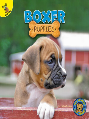 cover image of Boxer Puppies